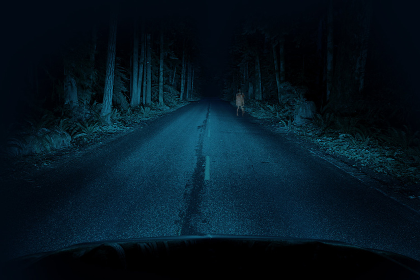 Les fantômes, ces entités avec lesquelles nous devont vivre... Les fantômes, ces entités avec lesquelles nous devont vivre...