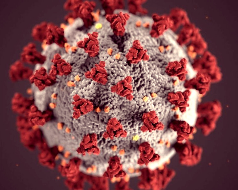 Copyright@Coronavirus-Covid 19 image de Max PPP Copyright@Coronavirus-Covid 19 image de Max PPP