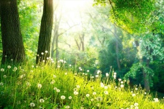 HELENE DELCROIX VOYANCE 01 HELENE DELCROIX VOYANCE 01