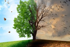 HELENE DELCROIX VOYANCE 05 HELENE DELCROIX VOYANCE 05