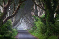 HELENE DELCROIX VOYANCE 10 HELENE DELCROIX VOYANCE 10