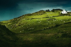 HELENE DELCROIX VOYANCE 12 HELENE DELCROIX VOYANCE 12