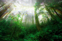 HELENE DELCROIX VOYANCE 27 HELENE DELCROIX VOYANCE 27